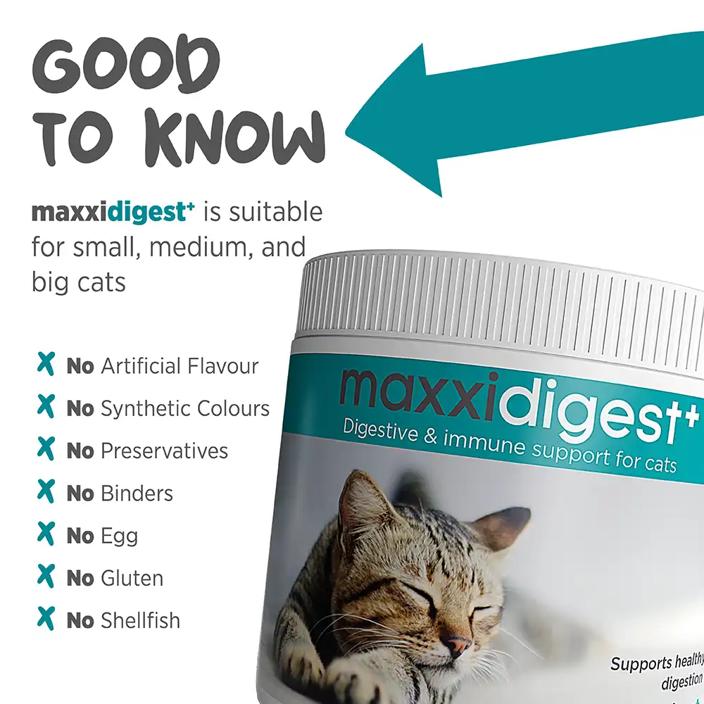 maxxideigest_cat_infographic_003