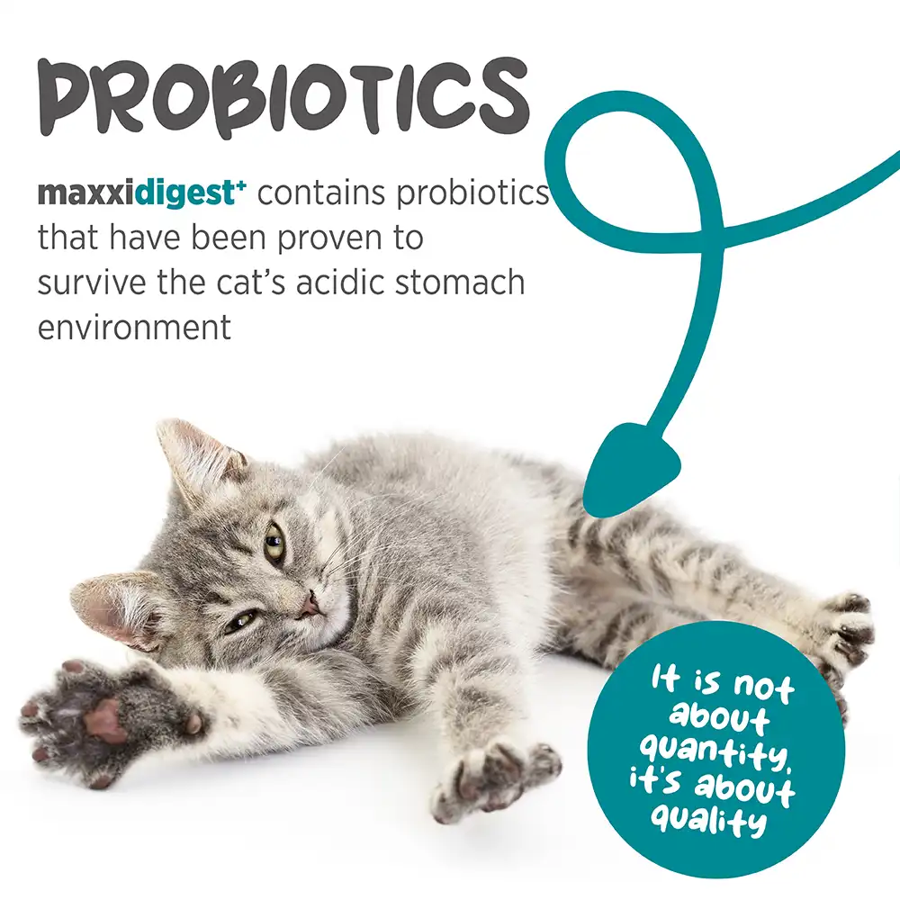 maxxideigest_cat_infographic_005