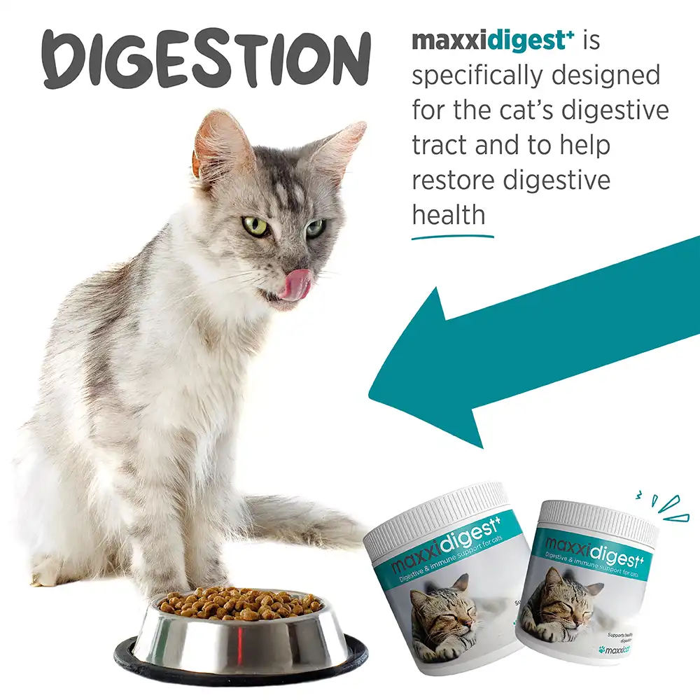 maxxideigest_cat_infographic_007