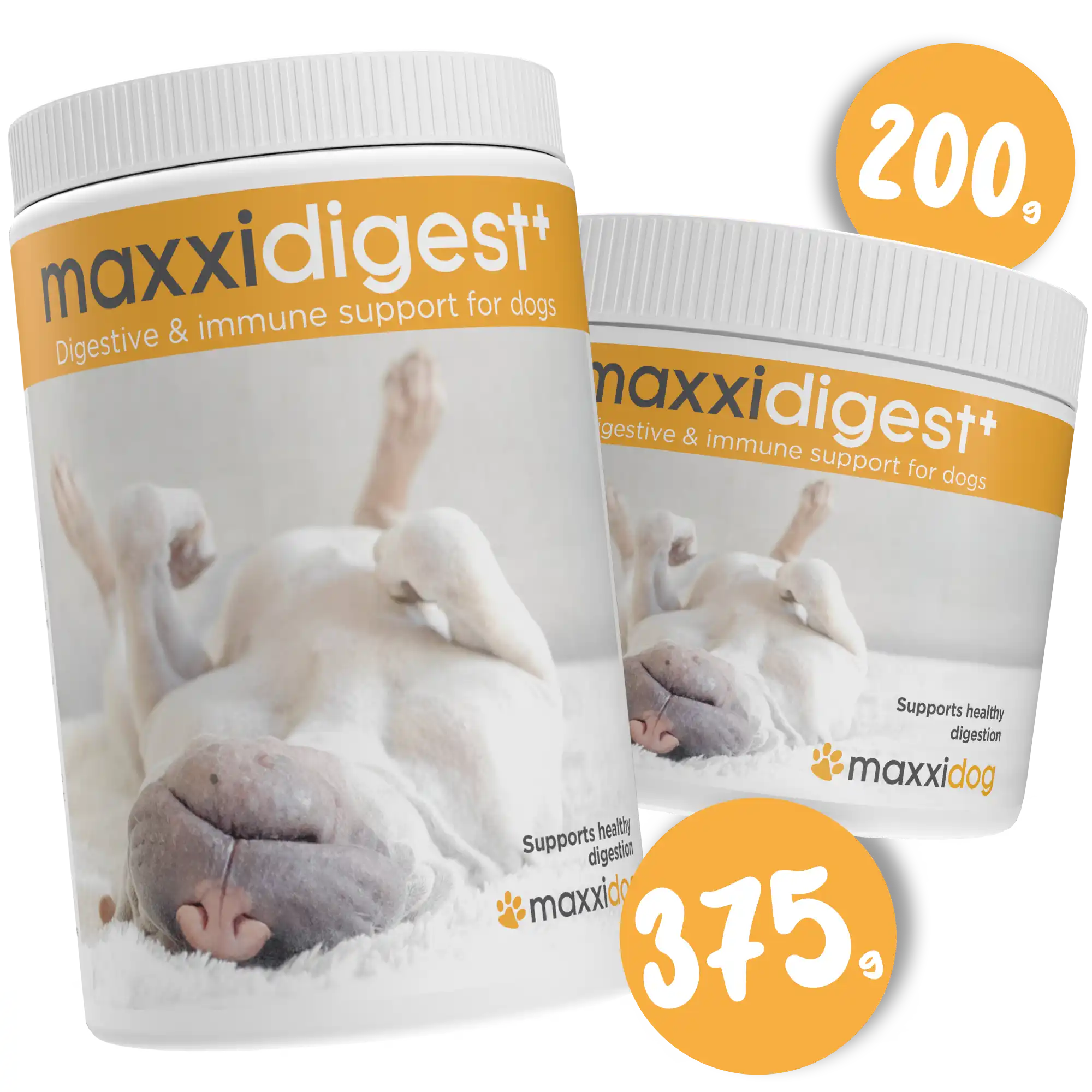 maxxidigest_infographic_001