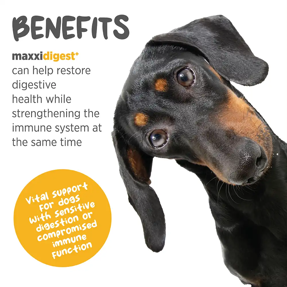 maxxidigest_infographic_002