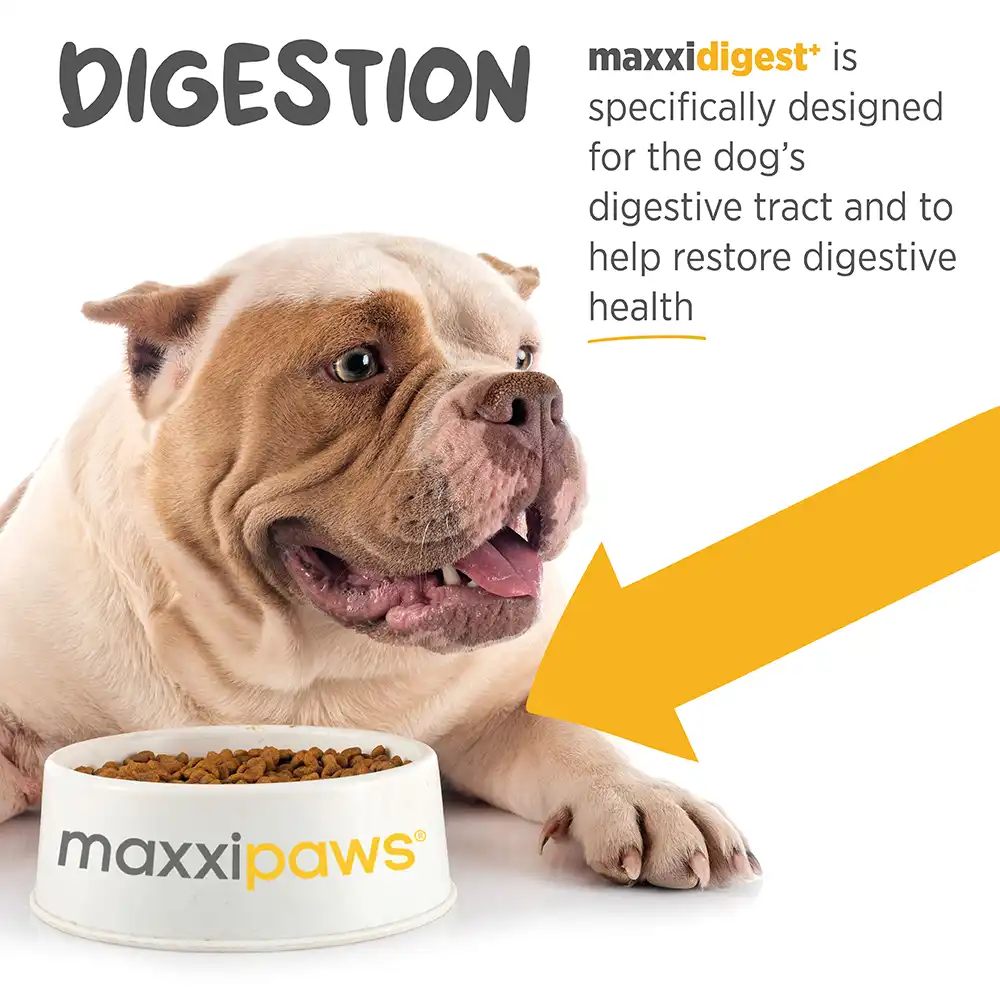 maxxidigest_infographic_004