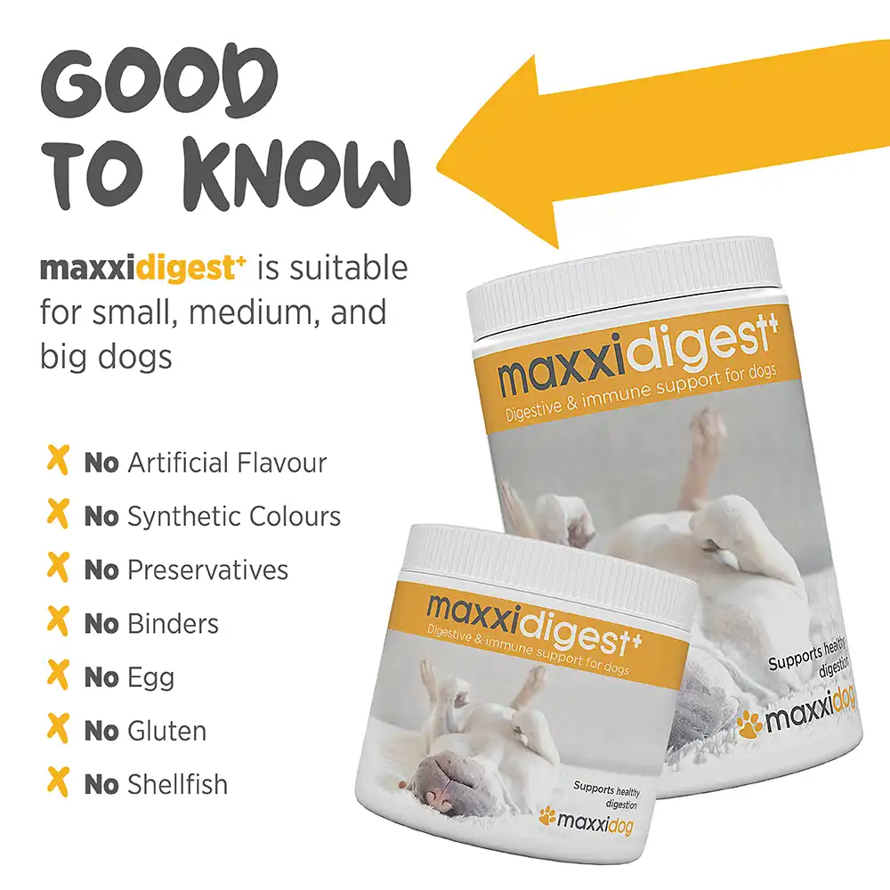 maxxidigest_infographic_006