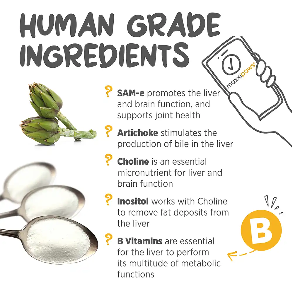 maxxisame_infographic_001