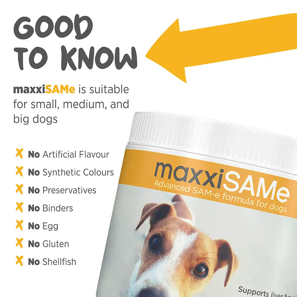 maxxisame_infographic_004