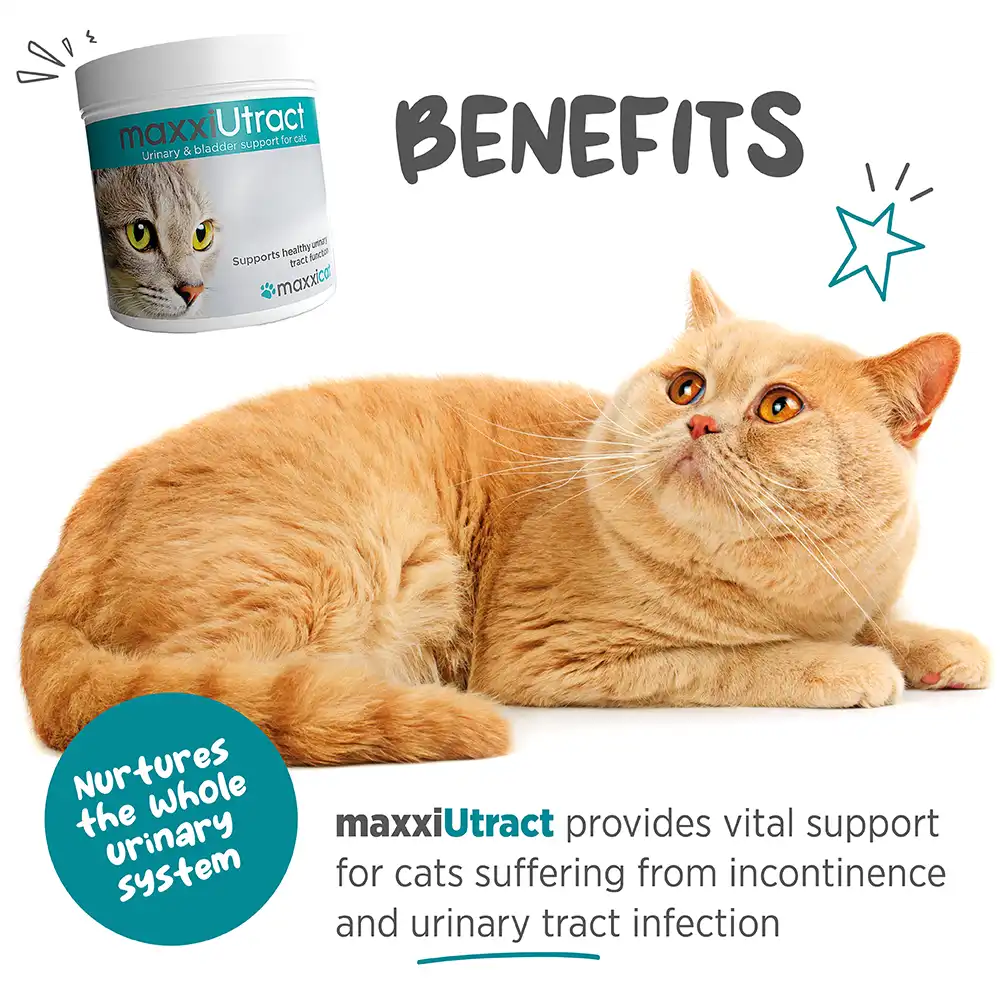 maxxiutract_cat_infographic_002