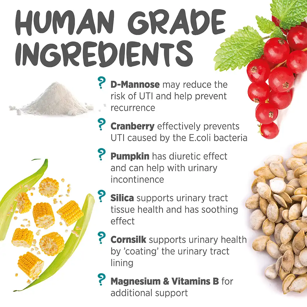 maxxiutract_cat_infographic_003