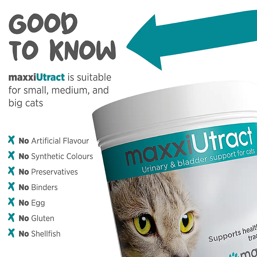 maxxiutract_cat_infographic_006